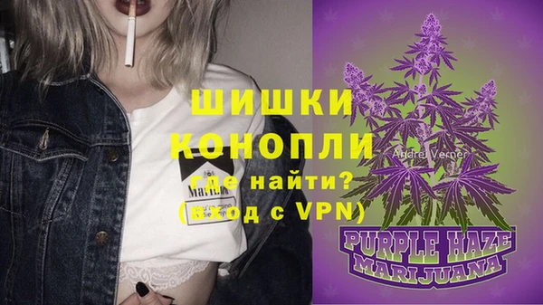 PSILOCYBIN Елабуга