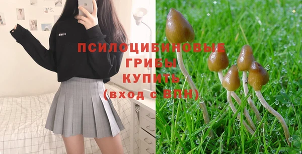 трава Елизово