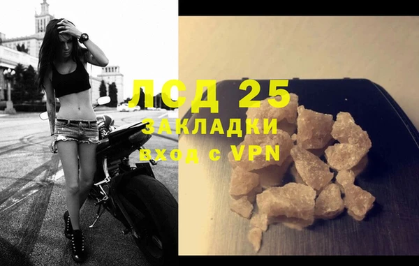 PSILOCYBIN Елабуга