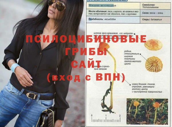 PSILOCYBIN Елабуга